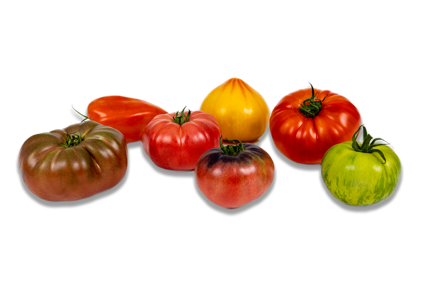 Saveur Des Sorgues Les Sp cialistes De La Tomate De Provence saveur-des-sorgues-les-sp-cialistes-de-la-tomate-de-provence